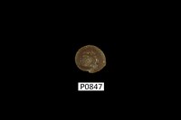 藏品(素面黑鐘螺)的圖片